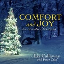 BWW Album Review: Tony Nominee and Emmy Winner, Liz Callaway, Gifts New Holiday Album