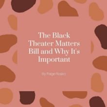 Student Blog: The Black Theater Matters Bill and Why It's Important