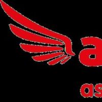 Assembly Festival Announces In-Person Programme