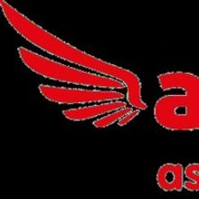 Assembly Festival Announces In-Person Programme