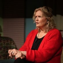 BWW Review: DANA H. at Berkeley Repertory
