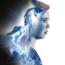 BWW Review: THE GLASS MENAGERIE at Nebraska Repertory Theatre is Classic and Memorabl