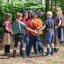 Elm Shakespeare Company's Summer Players Camp to Return Summer 2024