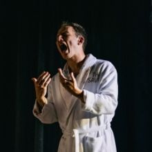 BWW Review: 100 PAINTINGS, Bread & Roses Theatre
