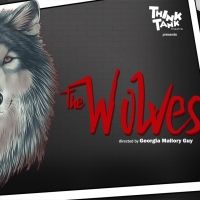 ThinkTank Theatre to Present Industry Night Performance of THE WOLVES by Sarah…