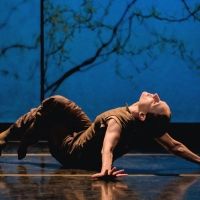 Harbourfront Centre to Present Ontario Premiere of Anne Plamondon's ONLY YOU