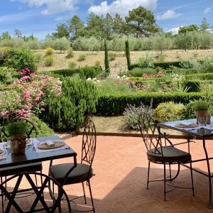 READY TO DRINK BEVERAGES-Perfect for Your Summer Gatherings