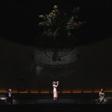 Review: SALOME at McCaw Hall