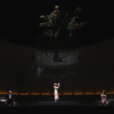 Review: SALOME at McCaw Hall