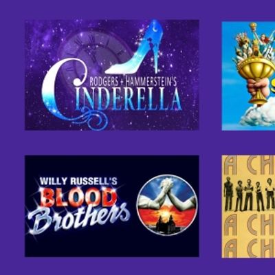 Feature: Auditions Are Open for The 2024 Season of Happily Ever After Productions Featuring Cinderella, Spamalot!