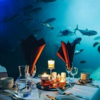 National Marine Aquarium Announces New October Dates For Dining At The Aquarium