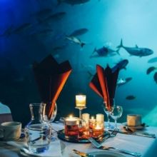 National Marine Aquarium Announces New October Dates For Dining At The Aquarium