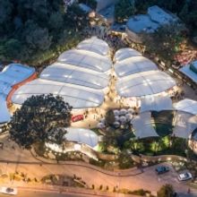 Festival Of Arts Now Accepting Artist Applications For 2023 Summer Fine Art Show