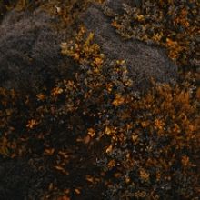 Jenny Owen Youngs Shares Generationals Remix of 'Dungeons and Dragons'