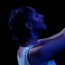 Video: Get A First Look at A HOME WHAT HOWLS at Steppenwolf