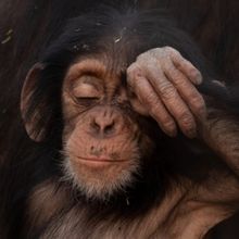 EVOLUTION EARTH Climate Series Coming to PBS