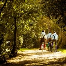 BWW Review: TWELFTH NIGHT, Oasis Farm