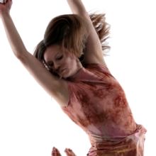 Hermitage Launches New Programmatic Series in Collaboration with Sarasota Art Museum