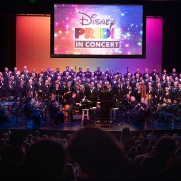 Gay Men's Chorus of South Florida Welcomes New Board Members for 14th Season Photo
