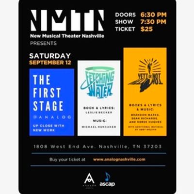 Interview:Douglas Waterbury-Tieman and Sarah Aili of THE FIRST STAGE at Analog