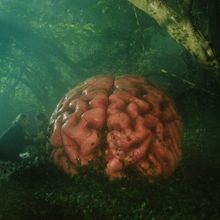 Video: Teaser Trailer for Guy Maddin's RUMOURS Starring Cate Blanchett