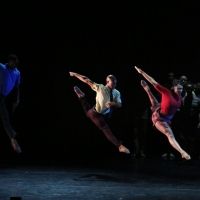 Dallas Black Dance Theatre to Present DIRECTOR'S CHOICE SERIES in November
