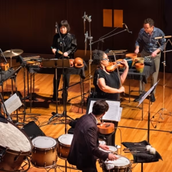 Third Coast Percussion to Tour STRUM, STRIKE, BEND With Composer & Violinist Jessie M Photo