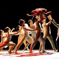 The Washington Ballet Announces Fall 2019/20 Touring Schedule