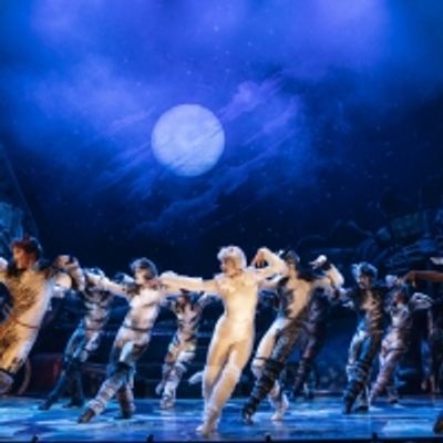 Jellicle CATS Come to Saenger Theatre Next Week