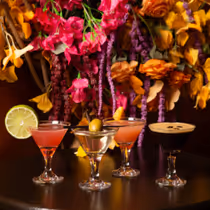 Martini Happy Hour at Highlight Room and Fleur Room