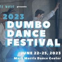 White Wave Dance Now Accepting Applications For 22nd Annual DUMBO Dance Festival