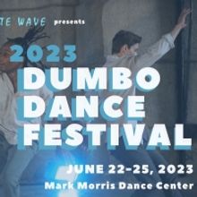 White Wave Dance Now Accepting Applications For 22nd Annual DUMBO Dance Festival