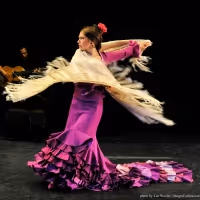A PALO SECO Will Bring Family-Friendly Flamenco To Flushing Town Hall in May