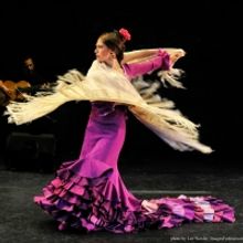 A PALO SECO Will Bring Family-Friendly Flamenco To Flushing Town Hall in May