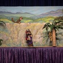 THE MONKEY AND THE PIRATE Comes to the Great AZ Puppet Theater