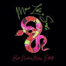Kayla Nicole Teams Up with Missy Elliott for 'Move Like A Snake' Remix
