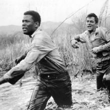 Tickets On Sale Today For The 2021 CAPA SUMMER MOVIE SERIES