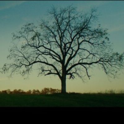 Opera Philadelphia To Offer A Free Stream Of David T. Little's SOLDIERS SONGS