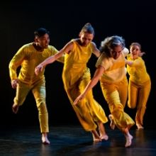 Review: WEI at Aki Studio