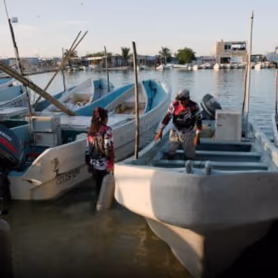 South Street Seaport Museum to Present CLIMATE FILM FESTIVAL Screenings