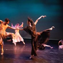 Asian American Ballet Project Celebrates Fifth Anniversary By Launching New Choreogra Interview