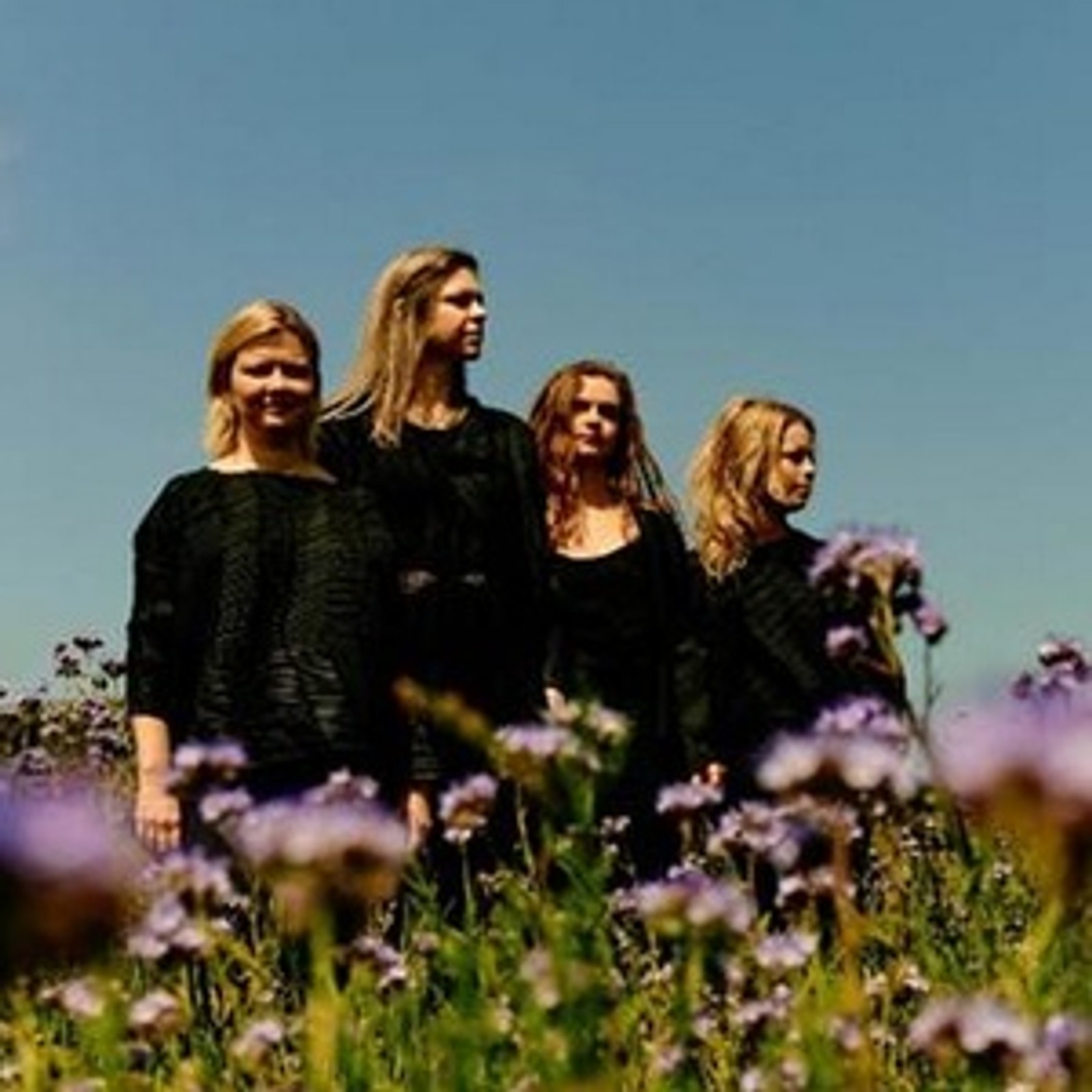 20th Anniversary Programme Revealed For Music At Paxton Festival