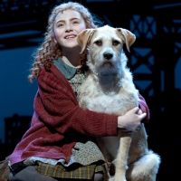 Breaking: NBC Will Air ANNIE LIVE! This Holiday Season