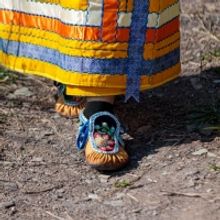 Artpark & Company Presents 'COVER THE WATER'