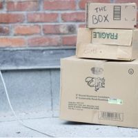 BWW Review: THE BOX at Studio Hydro-Quebec Monument-National