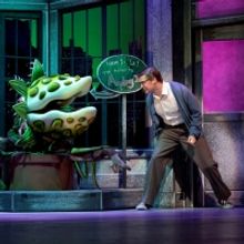 LITTLE SHOP OF HORROS Opens at Rocky Mountain Rep