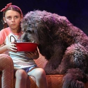 Broadway-Bound BECAUSE OF WINN-DIXIE to Hold Open Casting Call for 'Opal Buloni'