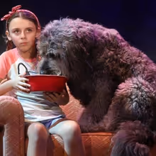 Broadway-Bound BECAUSE OF WINN-DIXIE to Hold Casting Call