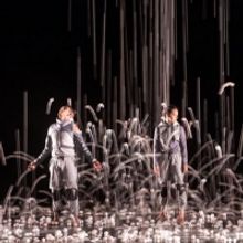 La Final Del Premio Nacional De Danza Guillermo Arriaga 2021 Se Realizará En El Pala