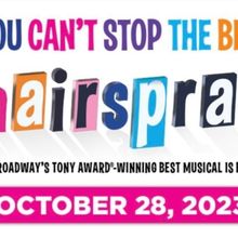 Review: HAIRSPRAY at Broadway Palm Dinner Theatre